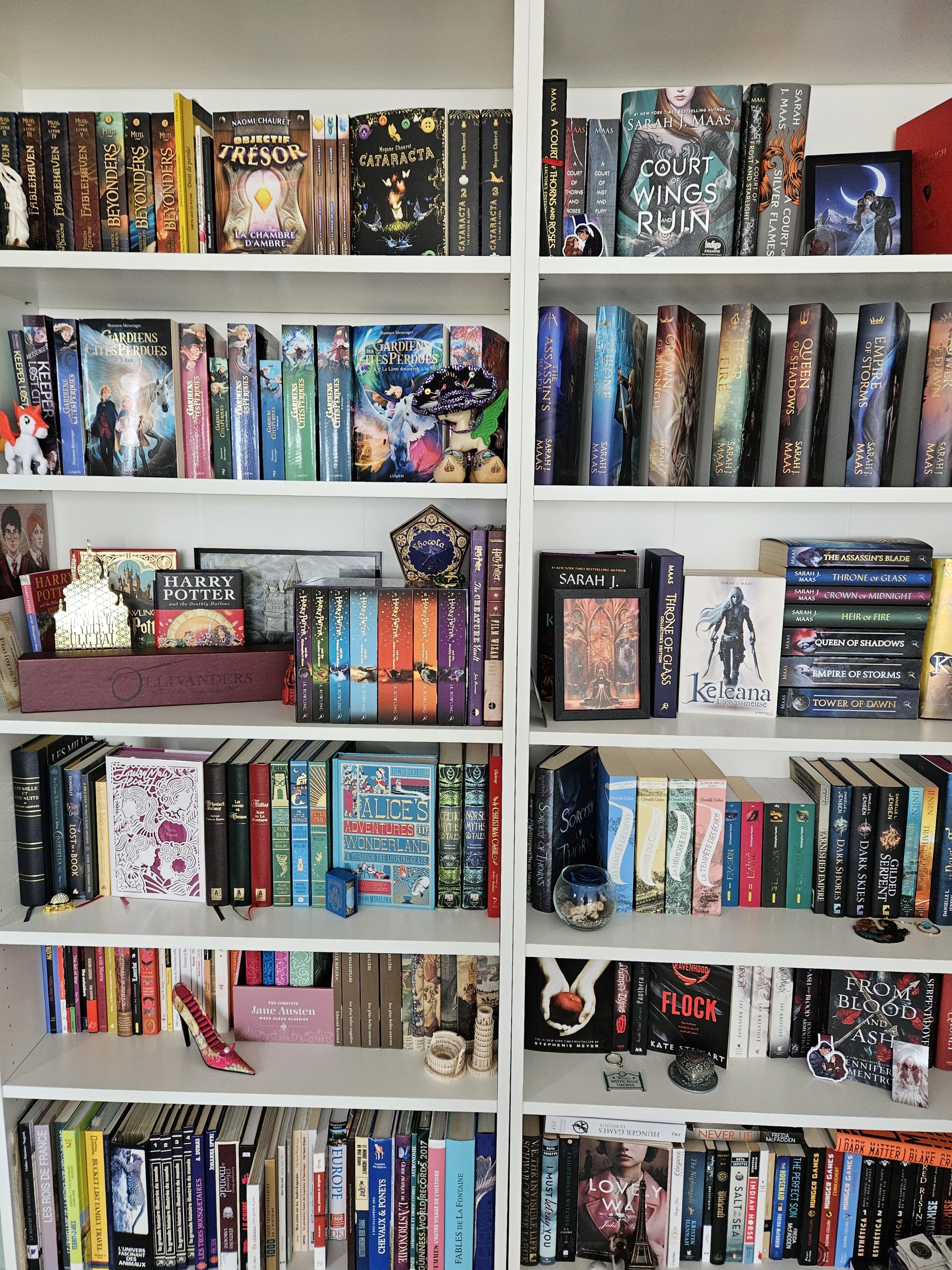 Une bibliothèque emplie de livres colorés.